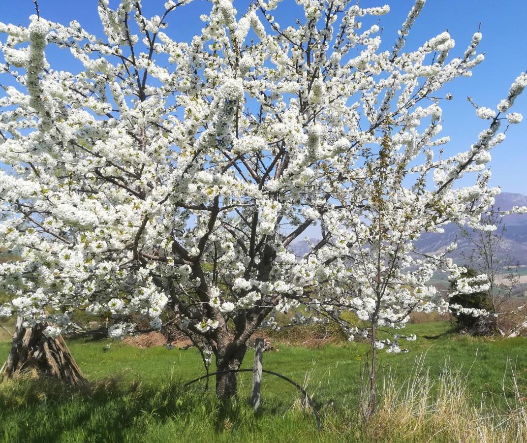 Gîte du Grand Delmas Bourdeaux Dış mekan fotoğraf